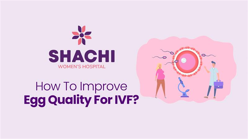 Improve Egg Quality